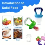Fruit Silicone Pacifier Bites – Baby Fruit Feeder & Teether