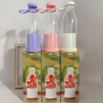 Mini Rechargeable Juicer Portable Fresh Juice Maker