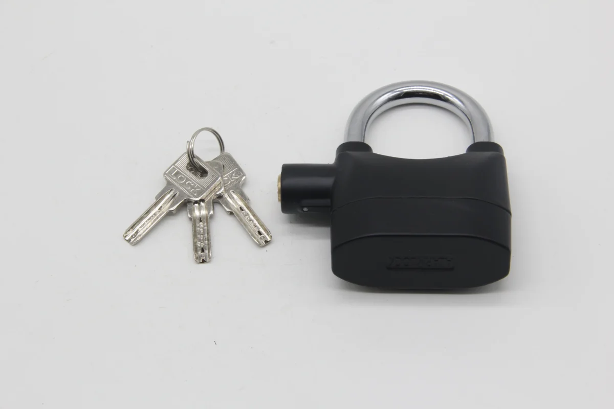 Anti-Theft Alarm Lock - Image 4