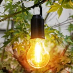 Compact, waterproof LED camping light and tent lantern with an integrated hook, showing its USB Type-C charging port and 100 Lumens brightness rating.