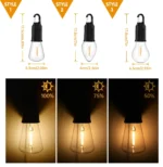 Compact, waterproof LED camping light and tent lantern with an integrated hook, showing its USB Type-C charging port and 100 Lumens brightness rating.