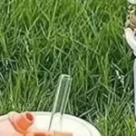 Pearl Bracelet Water Cup transparent glass with straw