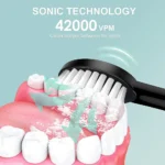 Electric Sonic Adult Toothbrush – USB Rechargeable Waterproof Toothbrush