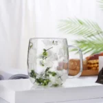 350ml Double Wall Glass Cup with Dried Flowers
