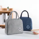 Lunch Handbag