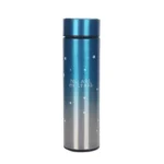Temperature Bottle
