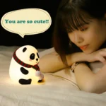 Panda Lights - Image 2