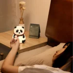 Panda Lights - Image 4