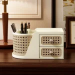 Shelf Organizer large capacity storage box