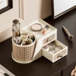 Shelf Organizer large capacity storage box